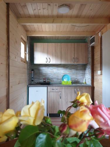 Lodge Etno Apartment Vrdnik
