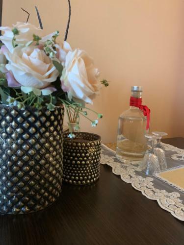 Slavka Apartment