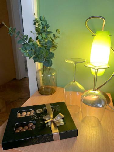 Slavka Apartment