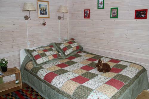 Hostal Guest House Chibis