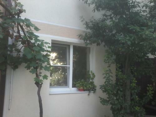Hostal Guest House Turist
