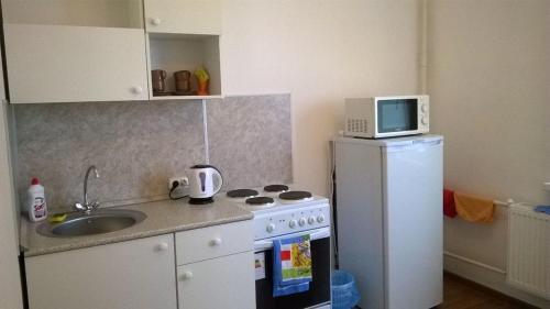 Apartment Fadeeva 425