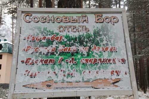 Posada Sosnovy Bor Inn