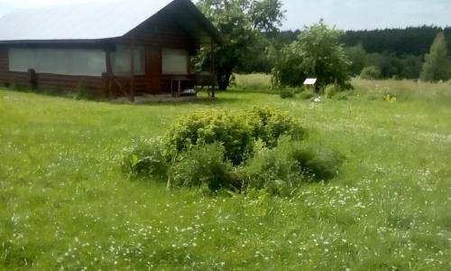 Holiday Home "kosokhnovo"