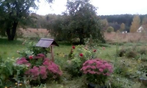 Holiday Home "kosokhnovo"