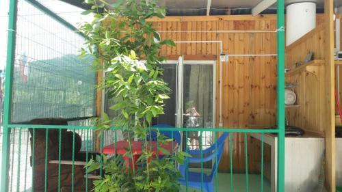 Lesnaya Polyana Holiday Park