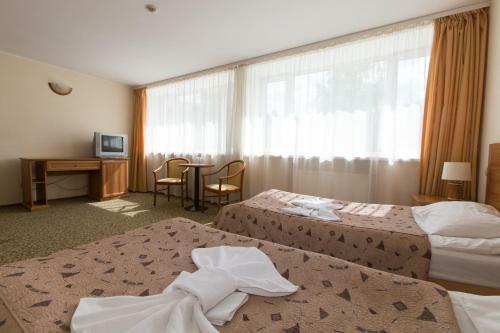 Hotel Park-otel Gorizont