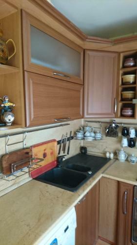 Apartment On Plekhanova