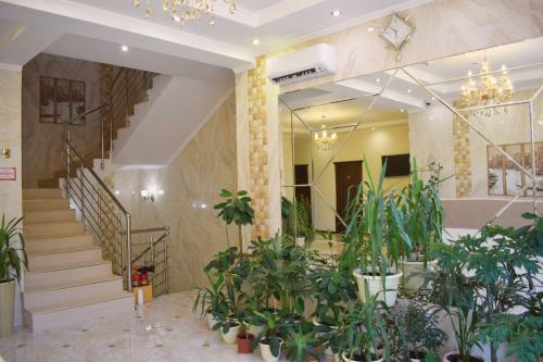 Hostal Avghust Guest House
