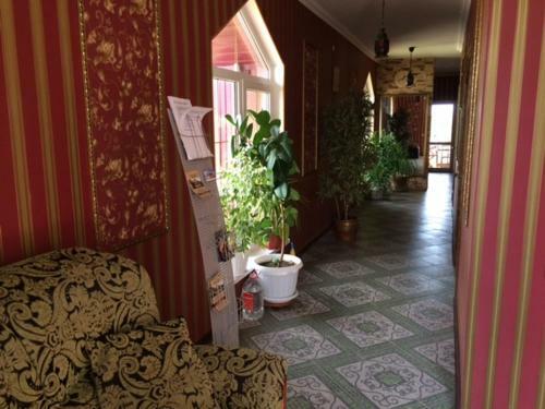Hostal Guest House Kalipso