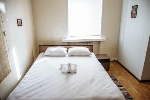 Dom Hostel