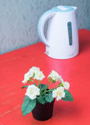 Hostel Pushkin