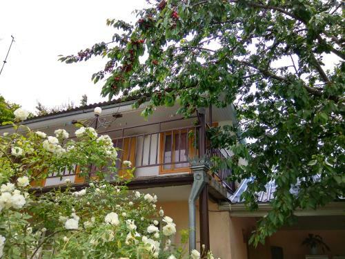 Hostal Guesthouse Novosolov