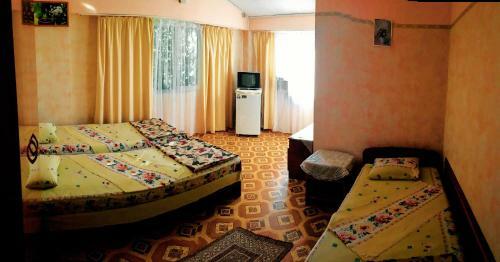 Hostal Guesthouse Novosolov