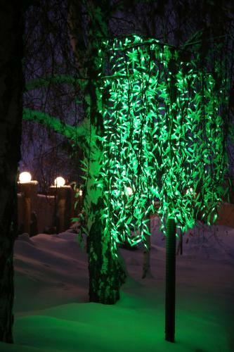 Hotel Altay