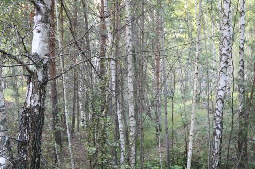 Holiday Park Peremilovy Gory