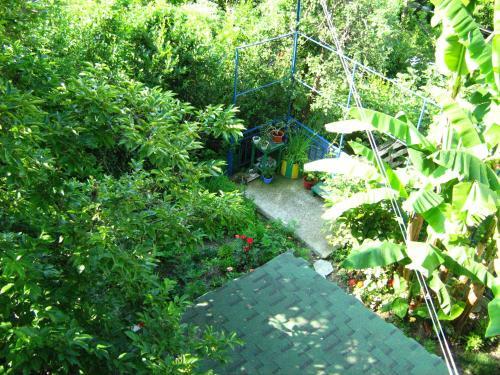 Hostal Guest House Na Mirnoy