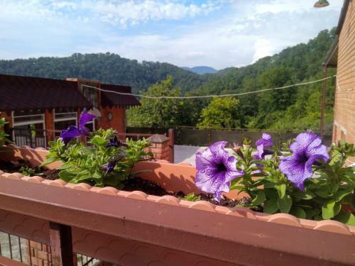 Hostal Oreshki Guest House