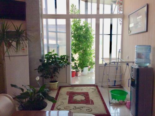 Hostal Delif Guest House