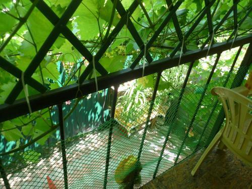 Hostal Guest House On Chapayeva