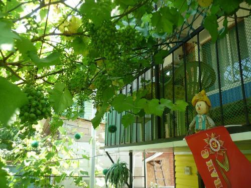 Hostal Guest House On Chapayeva