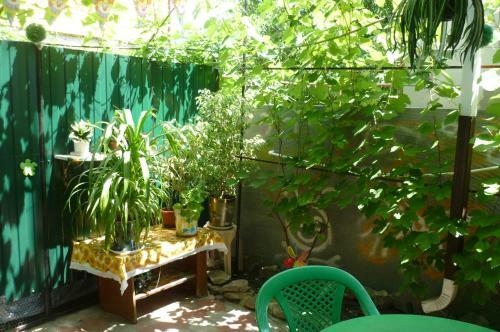 Hostal Guest House On Chapayeva
