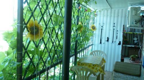 Hostal Guest House On Chapayeva