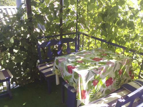 Hostal Gogolya Guest House