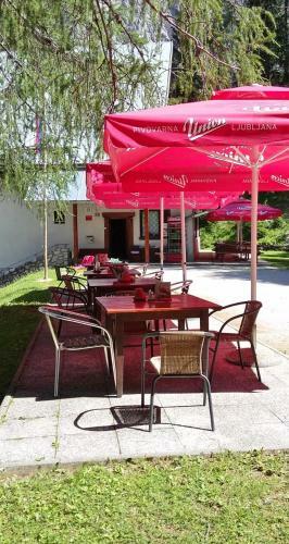 Hostal Planinska Ko?a Na Gozdu