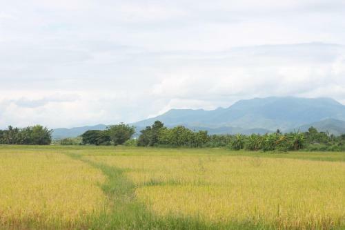 Siam Lanna Homestay
