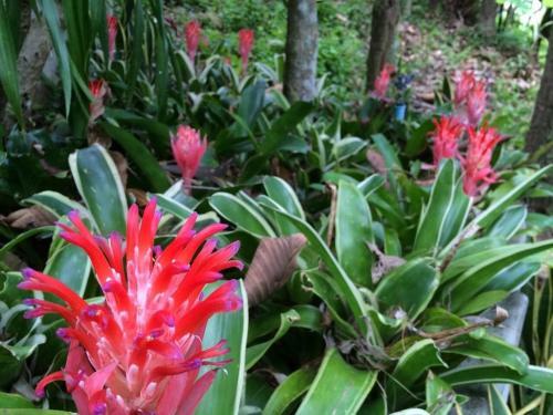 Hotel Phu Pha Nam Resort