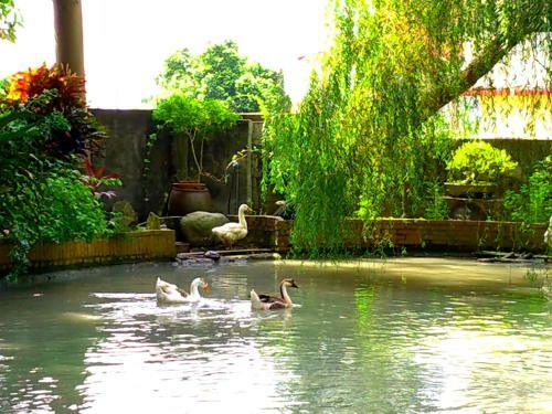 Meinong Yun Shanju Homestay