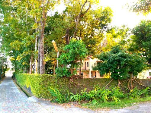 Meinong Yun Shanju Homestay