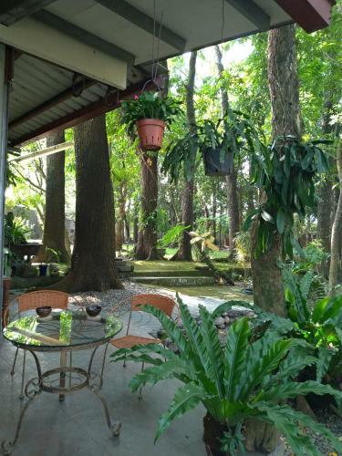 Meinong Yun Shanju Homestay