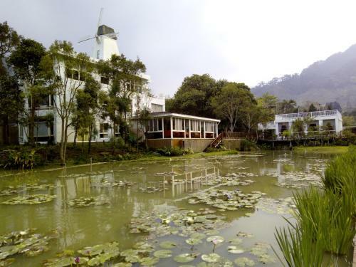 Lily Village