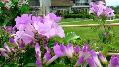 Agroturismo Maple Feeling Vacation Farm