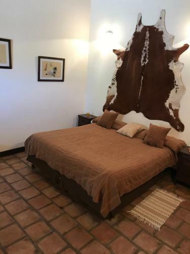 Bed & Breakfast La Vaca Tranquila