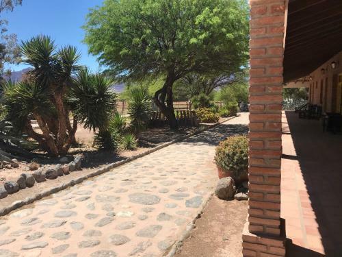 Bed & Breakfast La Vaca Tranquila