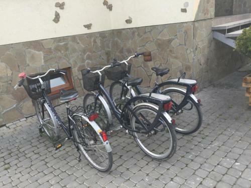 Hostal Zolota Pidkova