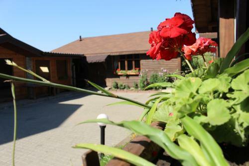 Motel Maetok 4 Pidkovy