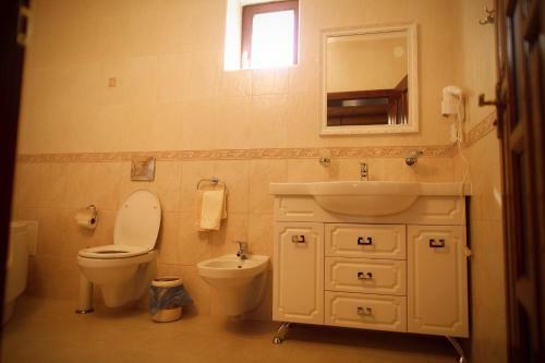 Hotel Oasis Karpat