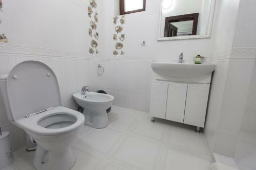 Hotel Oasis Karpat