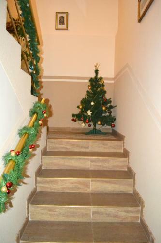 Hostal Zlata Praha