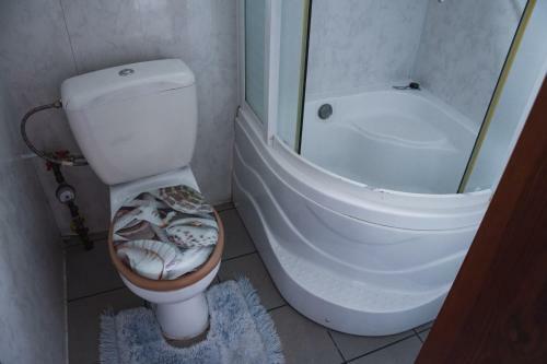 Apartment Pidkova