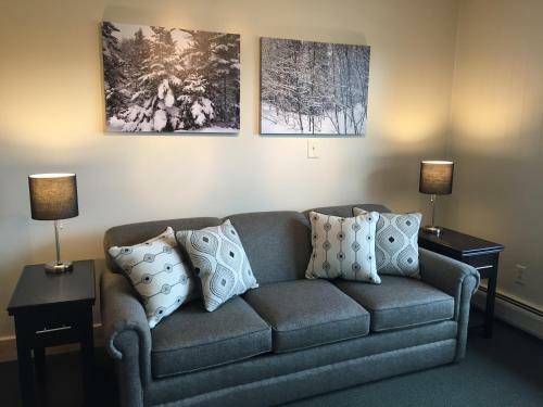 Motel Tahquamenon Suites Lodging