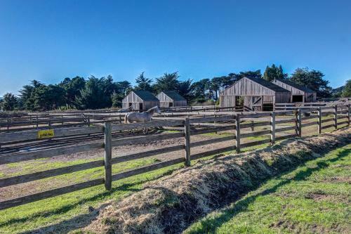 Architect's Redwood Rings Retreat