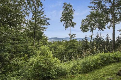 Treetops