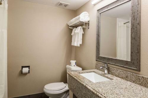 Hotel Rodeway Inn & Suites - Poconos