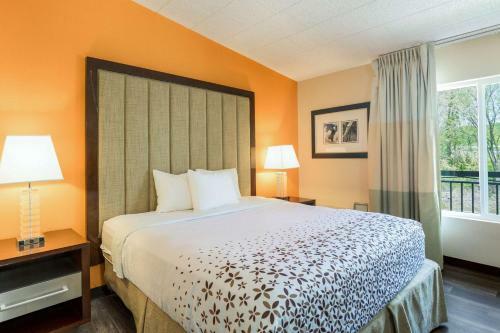 Hotel Rodeway Inn & Suites - Poconos