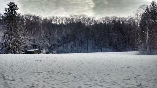 Hidden Valley Cabin